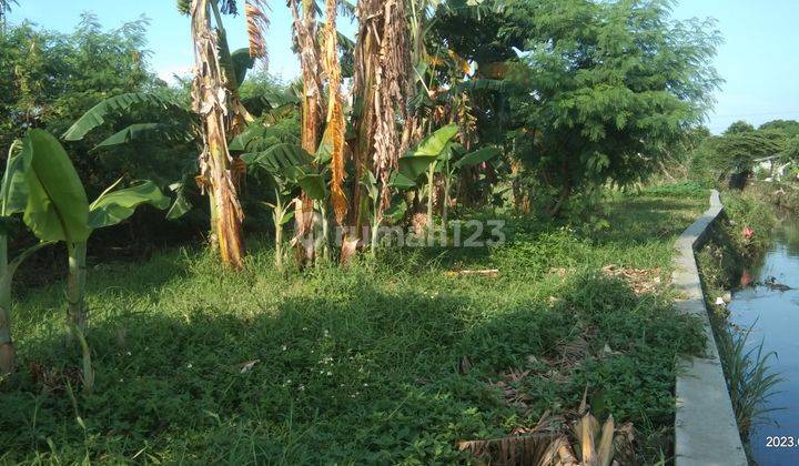 Dijual Tanah 1015 M2 SHM Rp. 1,2 Juta m2 Duren Jaya Bekasi Timur 4