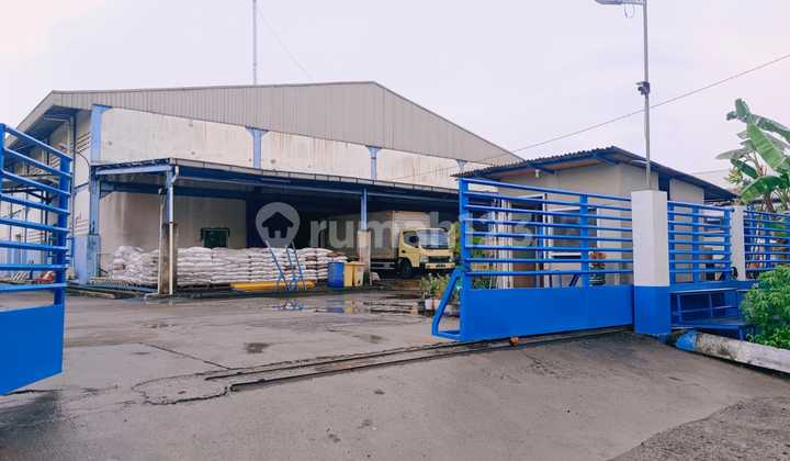 Gudang Murah Dan Bagus Siap Pakai Harga Njop Gudang Murah Dan Bagus Siap Pakai Harga Njop