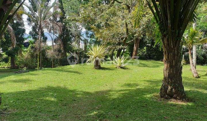 Tanah Cantik Murah Dan Strategis Pinggir Jalan Raya Puncak Bogor Tanah Cantik Murah Dan Strategis Pinggir Jalan Raya Puncak Bogor