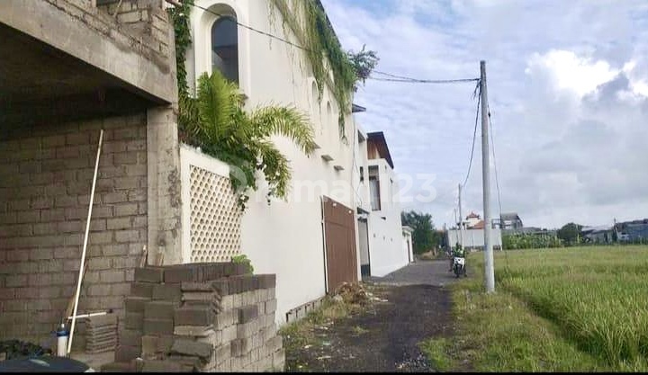 Leased Land in Kedampang Kerobokan Yellow Zone Villa Area Leased Land in Kedampang Kerobokan Yellow Zone Villa Area