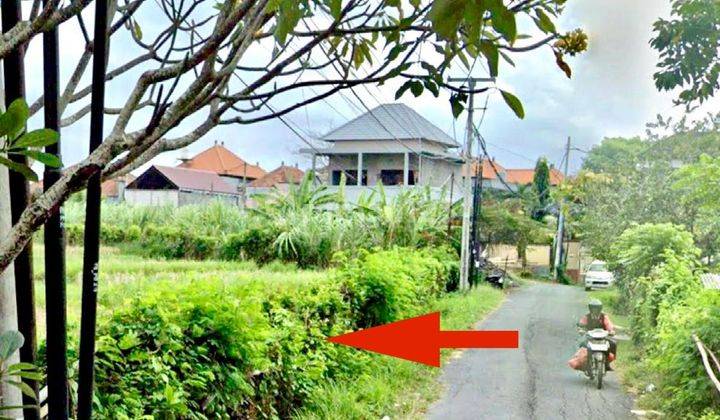 Tanah Di Bajataki Gatsu Barat Dekat Jln Induk Cocok Utk Gudang & Hunian Elit 1
