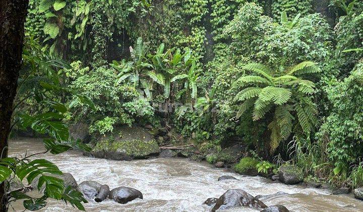 Tanah Harga Miring Los Sungai Ayung Ubud Sebelah Hotel Como Shambala