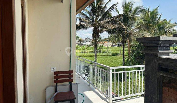 Rumah Style Villa View Sawah Dekat Stadion Dipta Buruan Gianyar Isi Furnished 2