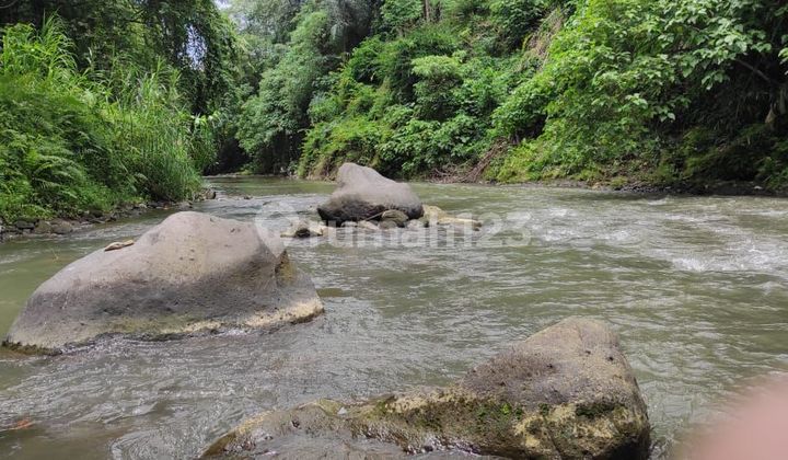 Tanah Los Sungai Di Lodtunduh Ubud Bali Zona Parwisata