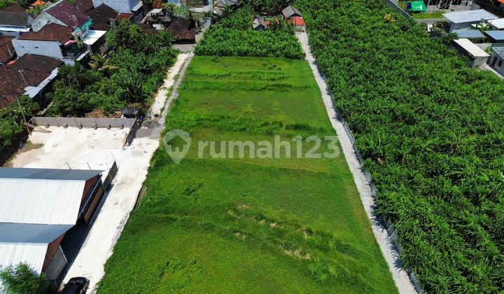 Tanah Sewa Di Muding Kerobokan Zona Kuning / Pemukiman