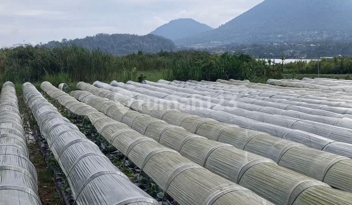 Tanah Tepi Danau Beratan Bedugul View Perbukitan Zona Wisata
