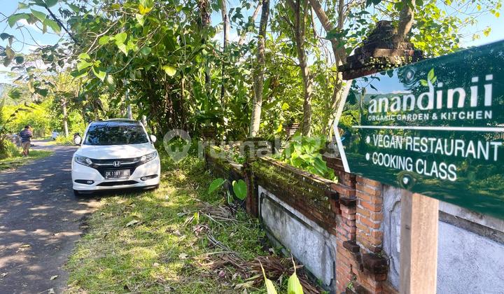 Land in Tebola Sidemen Karangasem Area Resort Tourism Zone