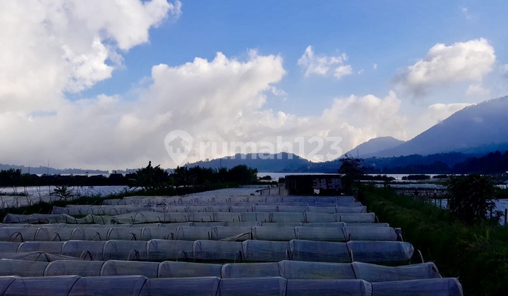 Tanah Los Danau Beratan Bedugul Tabanan Cocok Utk Glamping & Villa