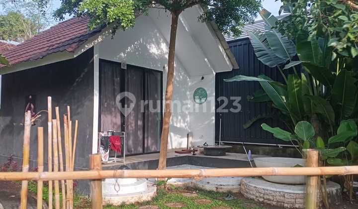 Tanah View Sawah di Peliatan Ubud Bonus Bangunan Villa