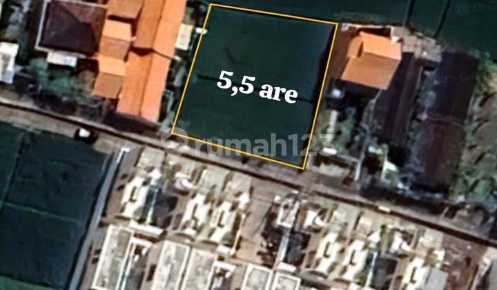 Land View Rice Field Cemagi Beach Badung 400 Meters to the Beach Land View Rice Field Cemagi Beach Badung 400 Meters to the Beach