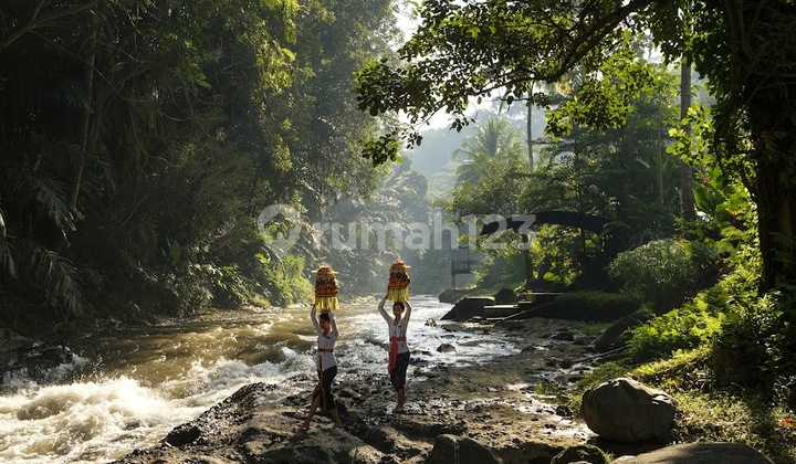 Tanah Los Sungai Di Sayan Ubud Gianyar Area Hotel Bintang 5