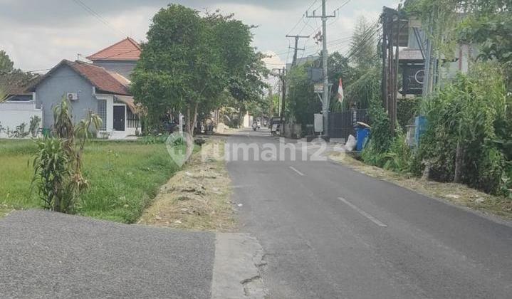 Tanah Prime Main Road Tegalcupek Umalas Dekat Seminyak & Canggu 