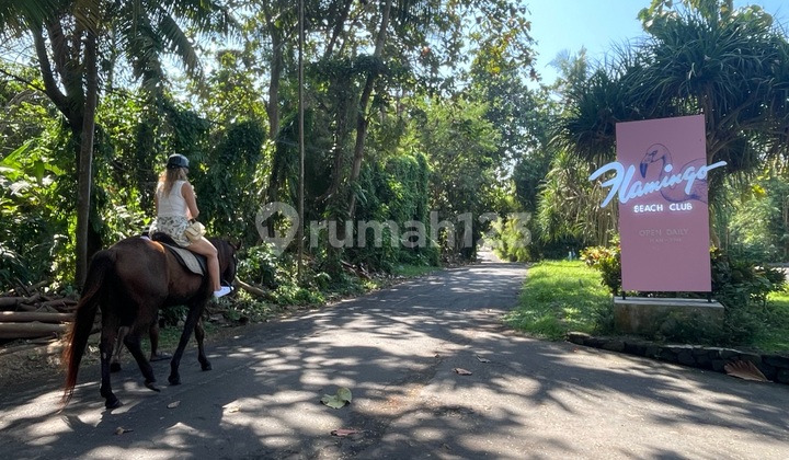 Tanah Los Sungai di Pantai Saba Gianyar Dekat Flamengo