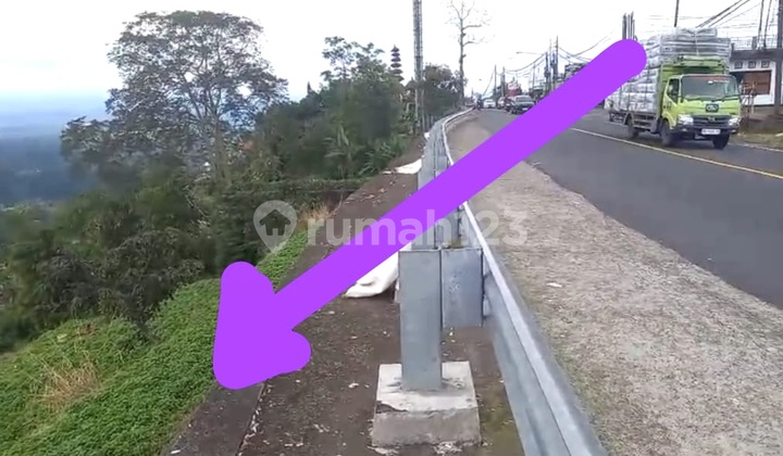 Land Near Bedugul Botanical Garden, Provincial Road Access, Charming View