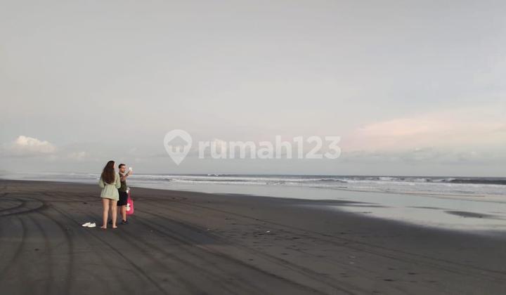 Cheap Land in Los Pantai Kelating Tabanan Near Soori Bali Hotel Cheap Land in Los Pantai Kelating Tabanan Near Soori Bali Hotel