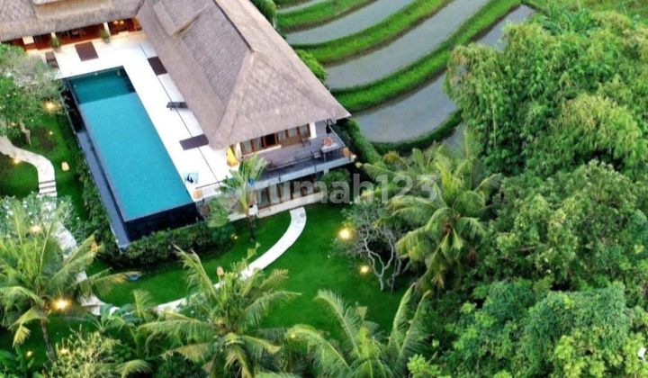 Tropical Luxury Villa In Canggu Babakan With Rice Field View Full Furnished 