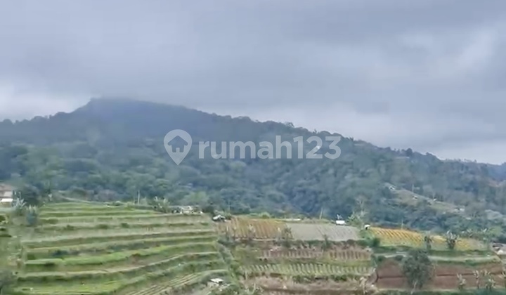 Tanah Dekat Kebun Raya Bedugul Akses Jalan Provinsi View Menawan Tanah Dekat Kebun Raya Bedugul Akses Jalan Provinsi View Menawan