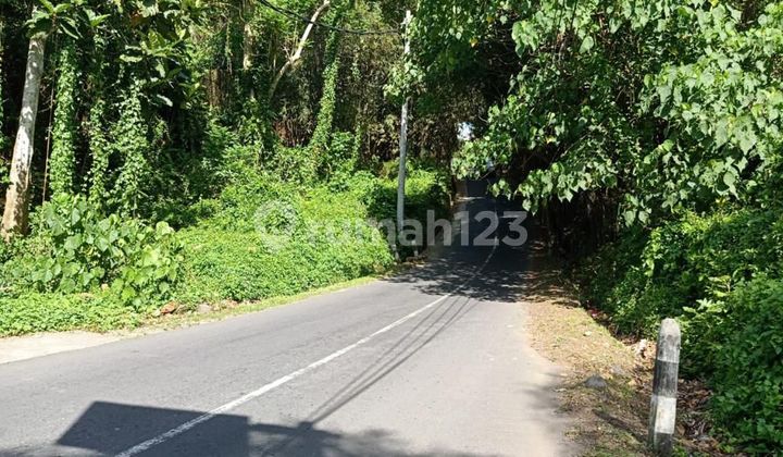 Tanah Riverside & Main Road Dekat Hotel Maya Ubud Bali Zona Pariwisata