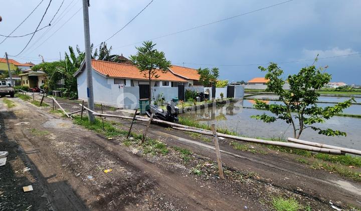 Land View Rice Field Cemagi Beach Badung 400 Meters to the Beach Land View Rice Field Cemagi Beach Badung 400 Meters to the Beach