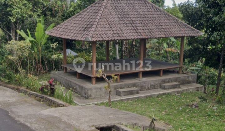 Tanah Kebun Isi Coklat Durian & Kelapa Di Surabrata Selemadeg Barat Tabanan