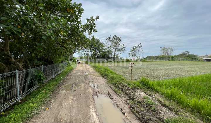 Tanah Los Sungai & Beachside 100 Mtr Ke Pantai Nyanyi & Dekat Ke Canggu  2