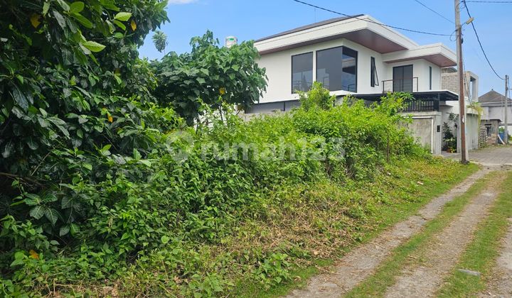 Tanah Plot Kecil Jl Mertanadi Seminyak Dekat Nuris & Gelato Tanah Plot Kecil Jl Mertanadi Seminyak Dekat Nuris & Gelato