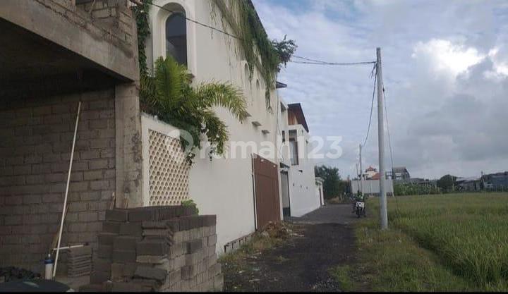 Tanah Di Kedampang Kerobokan Zona Kuning Cocok Dikavling Tanah Di Kedampang Kerobokan Zona Kuning Cocok Dikavling