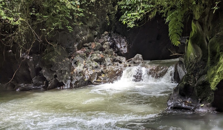 Tanah Los Sungai & View Jungle Di Ubud Kawasan Resort & Villa Mewah Tanah Los Sungai & View Jungle Di Ubud Kawasan Resort & Villa Mewah