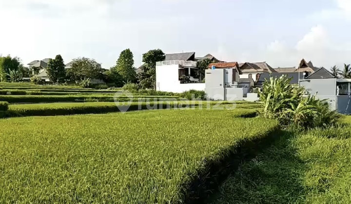 Tanah Los Sungai View Lembah & Sawah Dekat Hotel Gracia Lodtunduh Ubud 