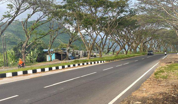 Tanah Murah Jln Utama Baypas Goa Lawah Kusamba Klungkung 2