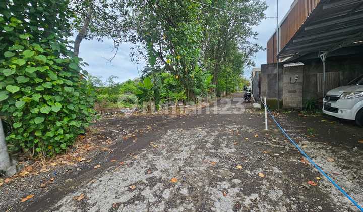 Small Land Size In South Kayutulang Canggu Near Batu Bolong Beach Small Land Size In South Kayutulang Canggu Near Batu Bolong Beach