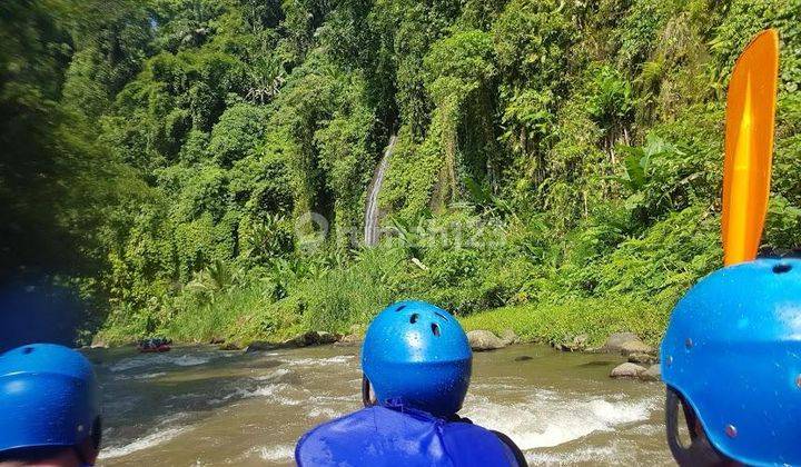 Tanah Harga Miring Los Sungai Ayung Ubud Sebelah Hotel Como Shambala