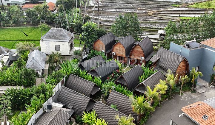Villa Komplek 15 Unit Joglo Di Canggu Padonan View Sawah 