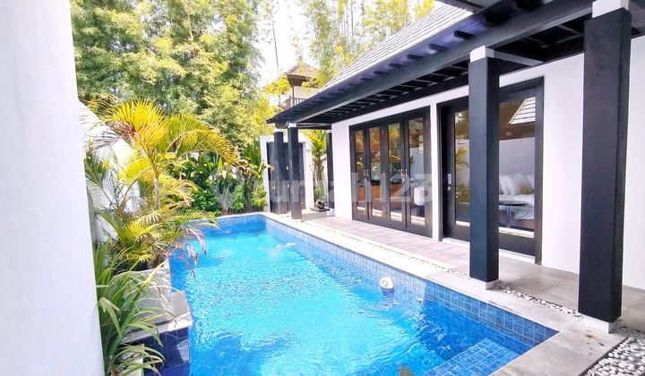 Commercial Villa In Central Seminyak Badung 5 Mnt To The Beach Commercial Villa In Central Seminyak Badung 5 Mnt To The Beach