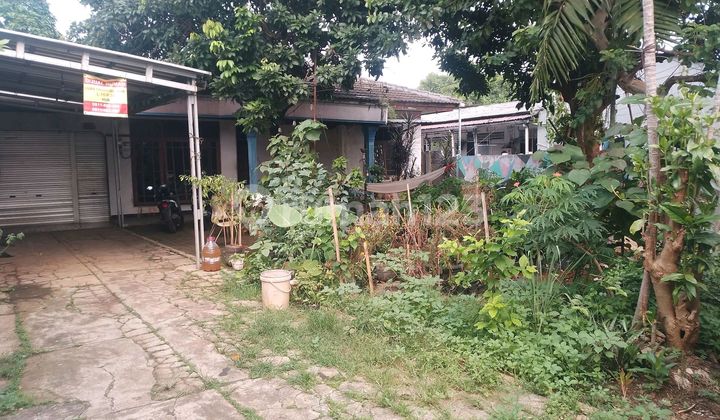 House L.15m2 W.39m2...in North Petukangan, strategic location near Budi Luhur University, close to Busway stop and Petukangan/Joglo toll gate. 2
