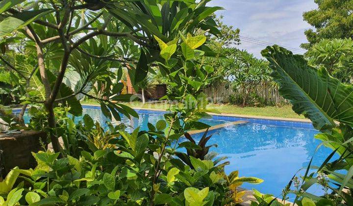 Lovina eco lodge 3