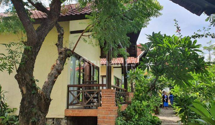 Lovina eco lodge 7