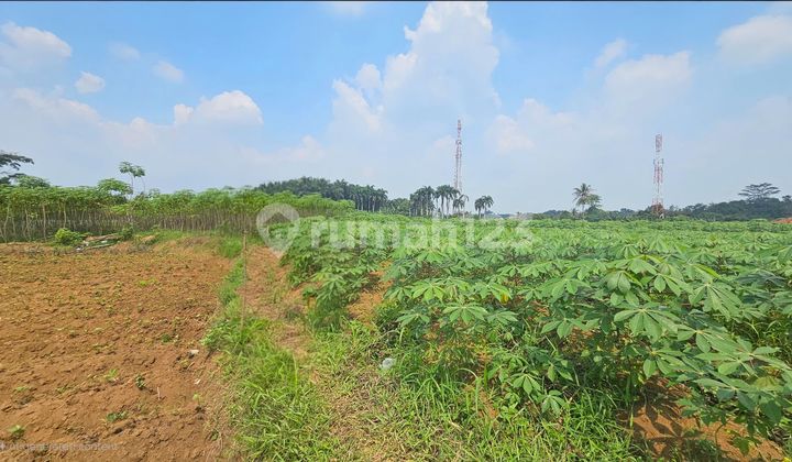 Plot by the Roadside Near Bogor Agricultural University Plot by the Roadside Near Bogor Agricultural University