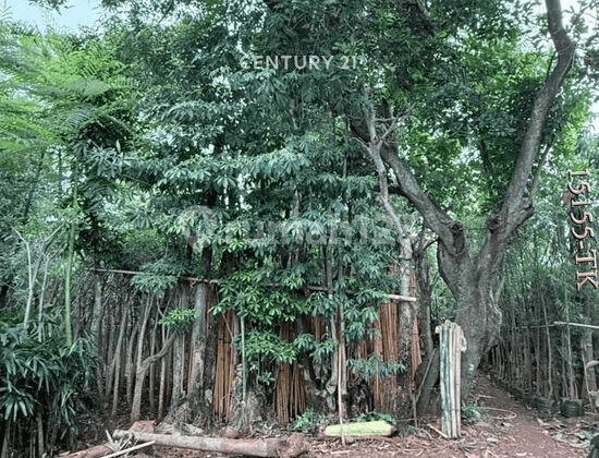 Dijual Tanah Kavling Strategis di Pinggir Jalan Besar Dijual Tanah Kavling Strategis di Pinggir Jalan Besar