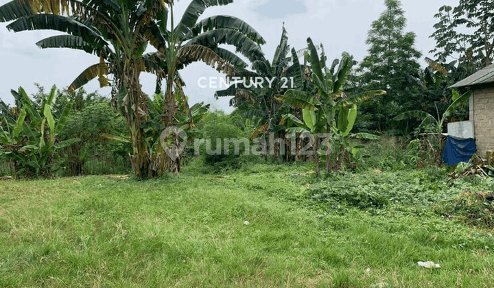 Dijual Kavling Siap Bangun Cocok untuk Cluster atau Perumahan Dijual Kavling Siap Bangun Cocok untuk Cluster atau Perumahan