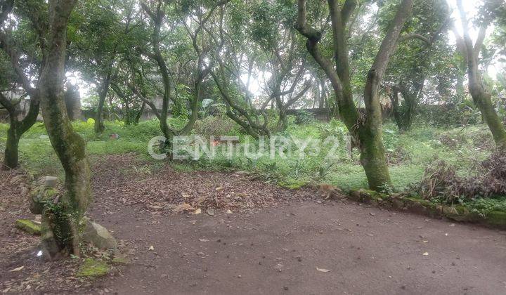 Sebidang Tanah Di Jalan Baiti Salma Sawah Lama Ciputat 2