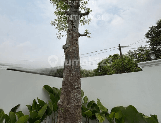 Dijual Rumah Hook Brandnew Ada Kolam Renang di Bintaro Sektor 9