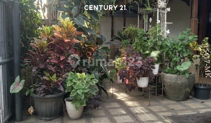 Dijual Cepat Rumah Terawat Asri Strategis Bangka Mampang