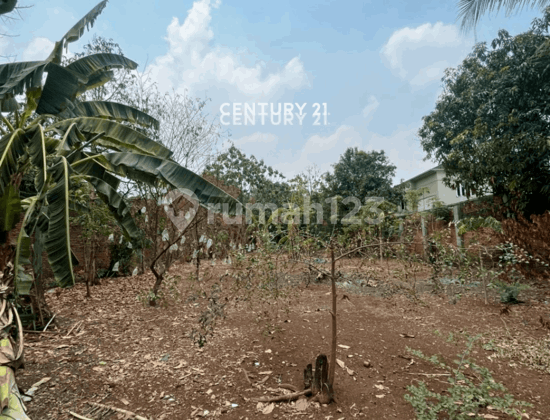 Disewakan Kavling Tanah Jl Margasatwa Jagakarsa Jakarta Selatan Disewakan Kavling Tanah Jl Margasatwa Jagakarsa Jakarta Selatan