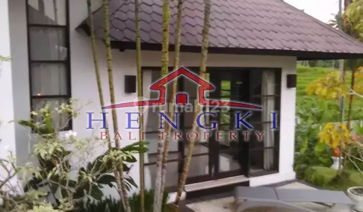 Villa di Canggu Berawa Seminyak Petitenget 2