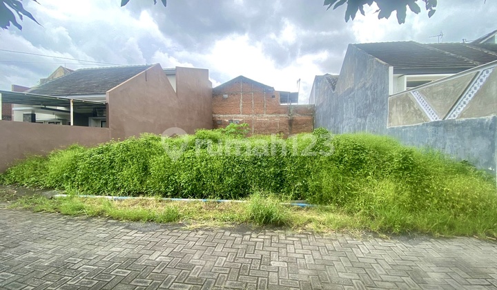 Tanah Kavling Strategis Area Sudimoro Sukarno Hatta