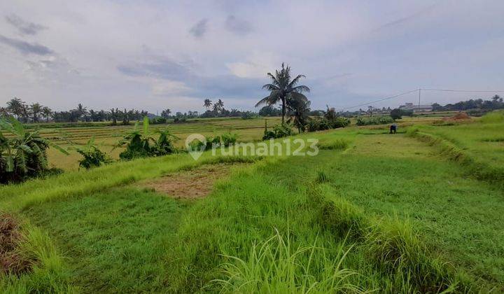 Tanah 1200 M2 SHM Di Pantai Nyanyi Tabanan Bali 1