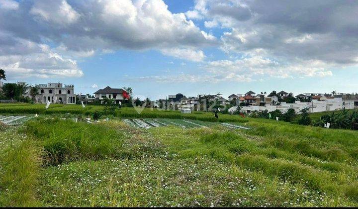 Land 200 M2 Shm 600 Meters From Cemagi Beach Villa Area Near Canggu Land Lot Bali 2