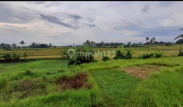 Tanah Dekat Pantai 1200 M2 Shm Di Pantai Nyanyi Tabanan Bali 1