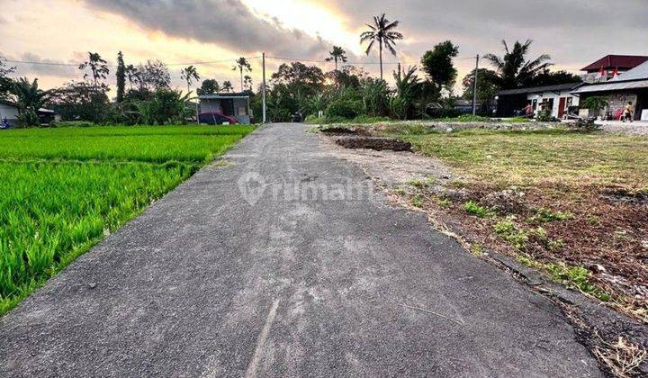 Land 300 M2 Shm In Kerobokan Near Seminyak And Canggu Bali 1